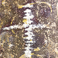 Croce argentata - 40cm x 60cm - foglia d'argento, acrilico, smalti e resine su cartone trattato con resine e smalti | Gianna Moise